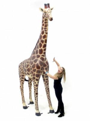 Girafe Adulte – Image 3