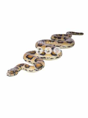 Boa Constrictor – Image 2