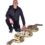 location-boa-constrictor-jungle-decoration-evenementielle-4