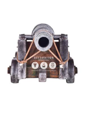 Canon – Image 3
