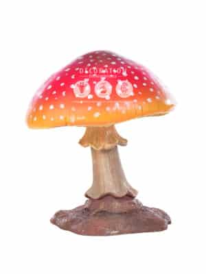 Champignon 60 cm – Image 3
