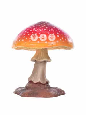 Champignon 60 cm – Image 2