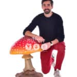 location-champignon-60cm-decoration-evenementielle-4