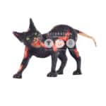 location-chat-maudit-halloween-decoration-evenementielle-2