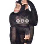 location-chimpanze-assis-safari-decoration-evenementielle-2