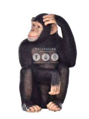 Chimpanzé Assis – Image 2