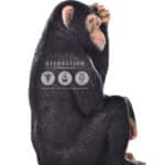 location-chimpanze-assis-safari-decoration-evenementielle-3