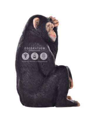 Chimpanzé Assis – Image 3