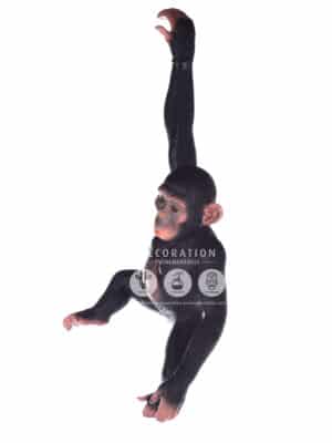 Chimpanzé Bébé Suspendu – Image 2