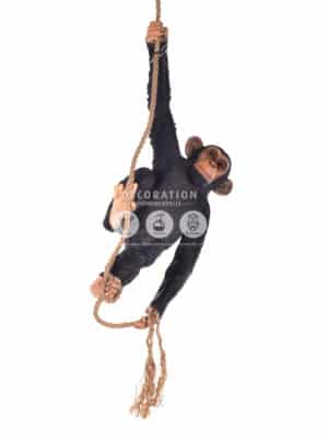 Chimpanzé Suspendu – Image 2