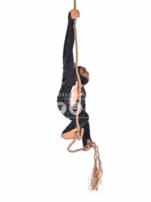 Chimpanzé Suspendu – Image 3