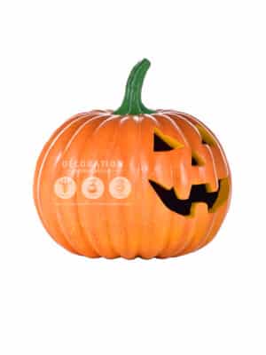 Citrouille Halloween Marrante – Image 2
