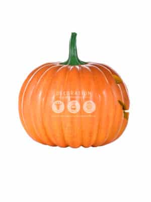 Citrouille Halloween Marrante – Image 3
