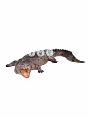 Crocodile Gueule Ouverte – Image 2