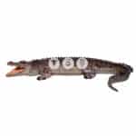 location-crocodile-gueule-ouverte-safari-decoration-evenementielle-3