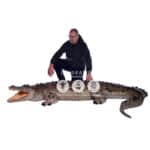 location-crocodile-gueule-ouverte-safari-decoration-evenementielle-4