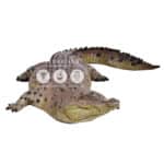 location-crocodile-safari-decoration-evenementielle-1