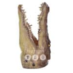 location-crocodile-trophee-safari-decoration-evenementielle-2