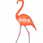 location-flamant-rose-bebe-safari-decoration-evenementielle-1