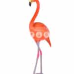 location-flamant-rose-bebe-safari-decoration-evenementielle-2