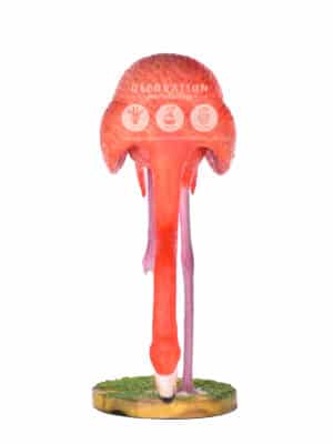 Flamant Rose Tête Baissée – Image 3