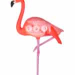 location-flamant-rose-tete-haute-safari-decoration-evenementielle-1