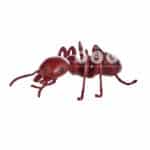 location-fourmi-rouge-geante-insecte-decoration-evenementielle-2