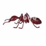 location-fourmi-rouge-geante-insecte-decoration-evenementielle-3
