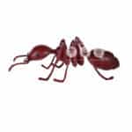 location-fourmi-rouge-geante-insecte-decoration-evenementielle-3