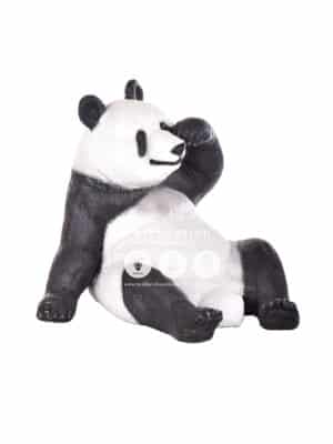 Panda Assis – Image 2