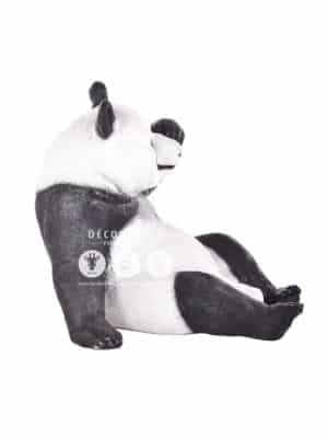 Panda Assis – Image 3