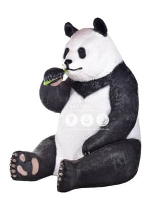 Panda Géant – Image 2