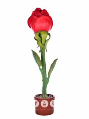 Rose Géante – Image 3