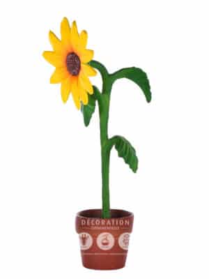 Tournesol – Image 2