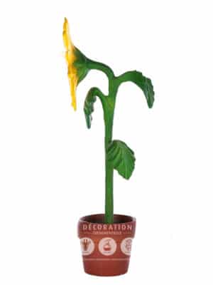 Tournesol – Image 3