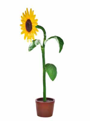 Tournesol Géant – Image 2