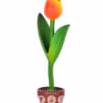location-tulipe-fleurs-decoration-evenementielle-2