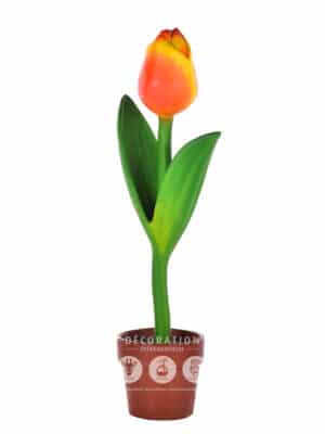 Tulipe – Image 2