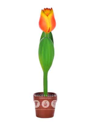 Tulipe – Image 3