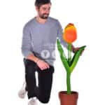 location-tulipe-fleurs-decoration-evenementielle-4