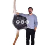 location-autruche-savane-decoration-evenementielle-4