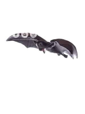 Chauve-Souris – Image 2