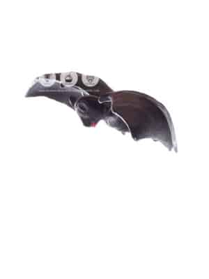 Chauve-Souris – Image 3