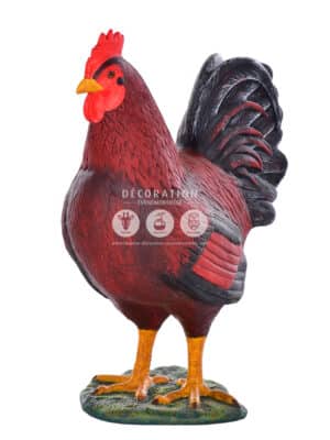 Coq – Image 2