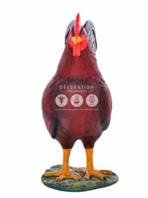Coq – Image 3