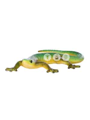 Gecko – Image 2
