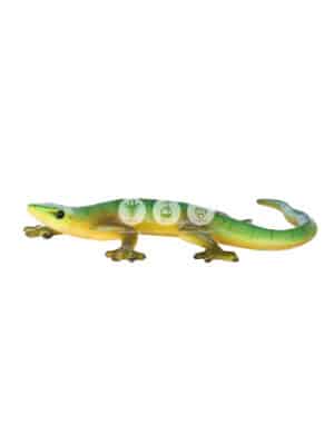 Gecko – Image 3