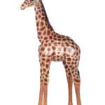 location-girafon-savane-decoration-evenementielle-1