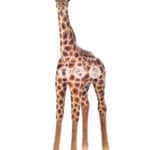 location-girafon-savane-decoration-evenementielle-2