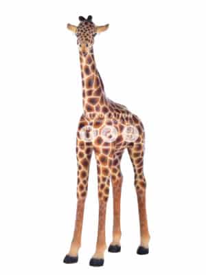 Girafon – Image 2